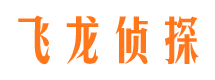 凤泉市侦探公司